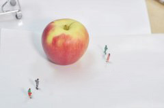 自己做社区团购要了解的运营内容